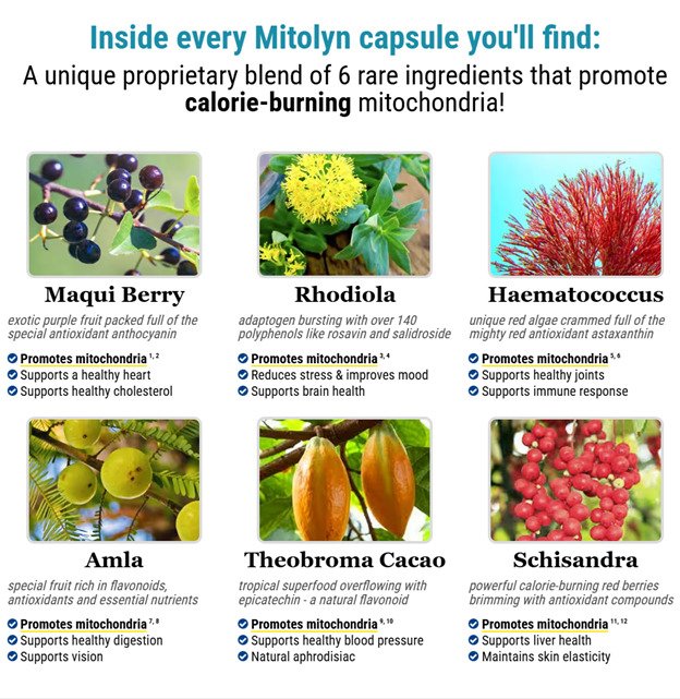 👉 Order Mitolyn Safely Here – Official Website